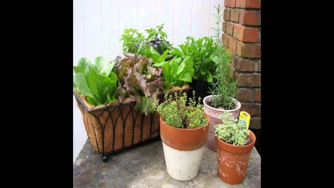 The Best Eco School Activity Ideas