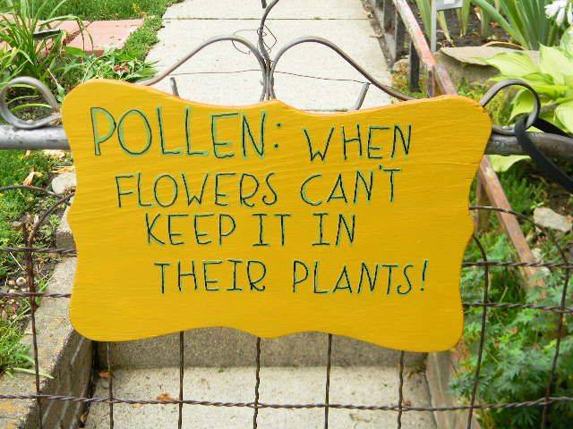 Best Garden Sign Ideas
