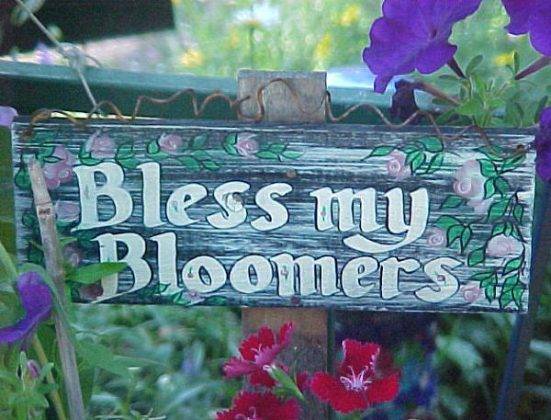 Creative Funny Garden Sign Ideas