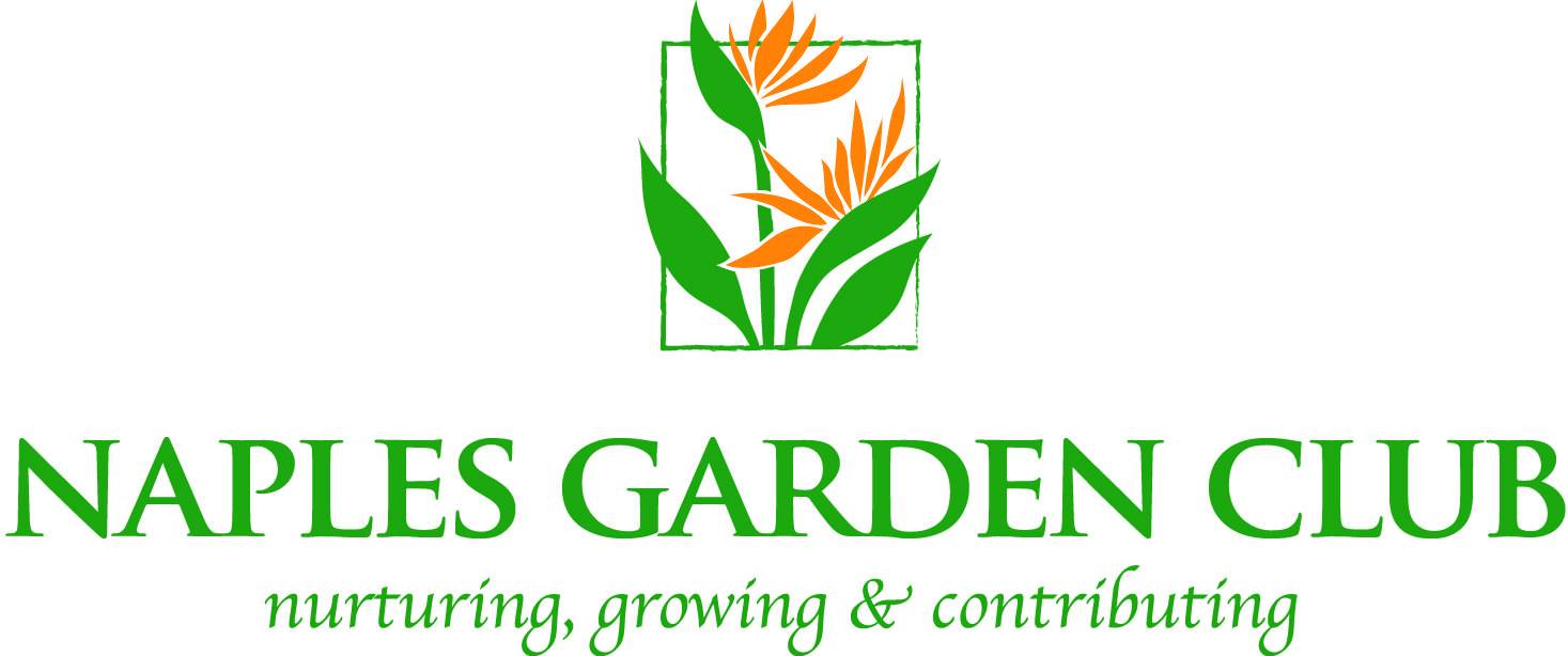 Busselton Community Garden Community Gardening Logo Design Branding