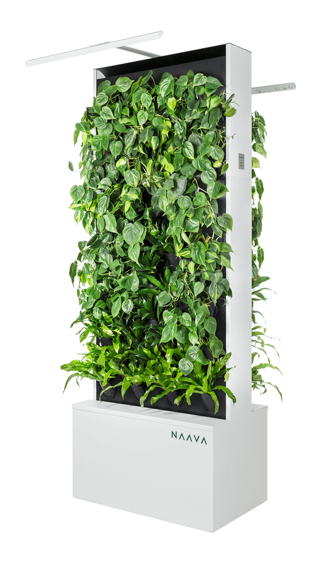 Pingl Sur Home Ideas