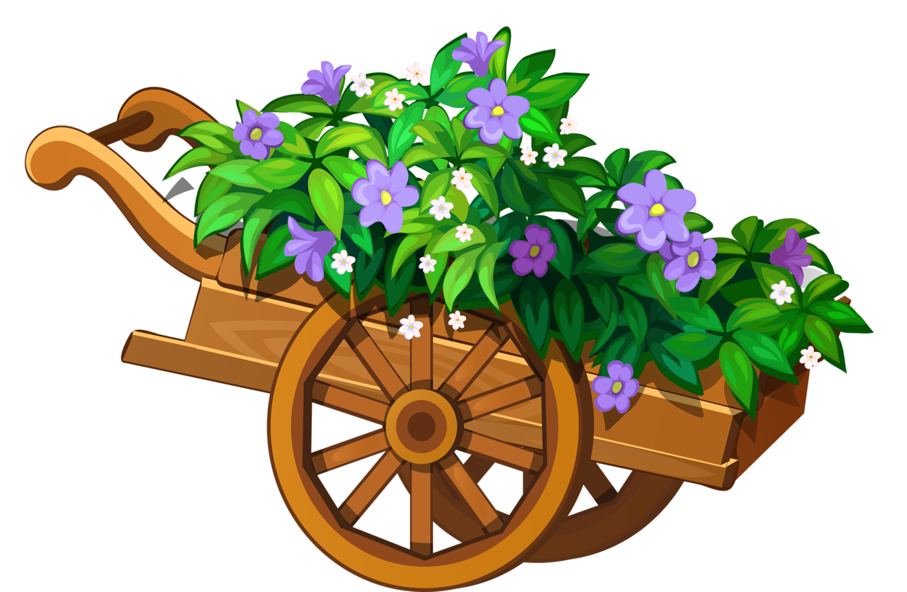 Vegetable Garden Box