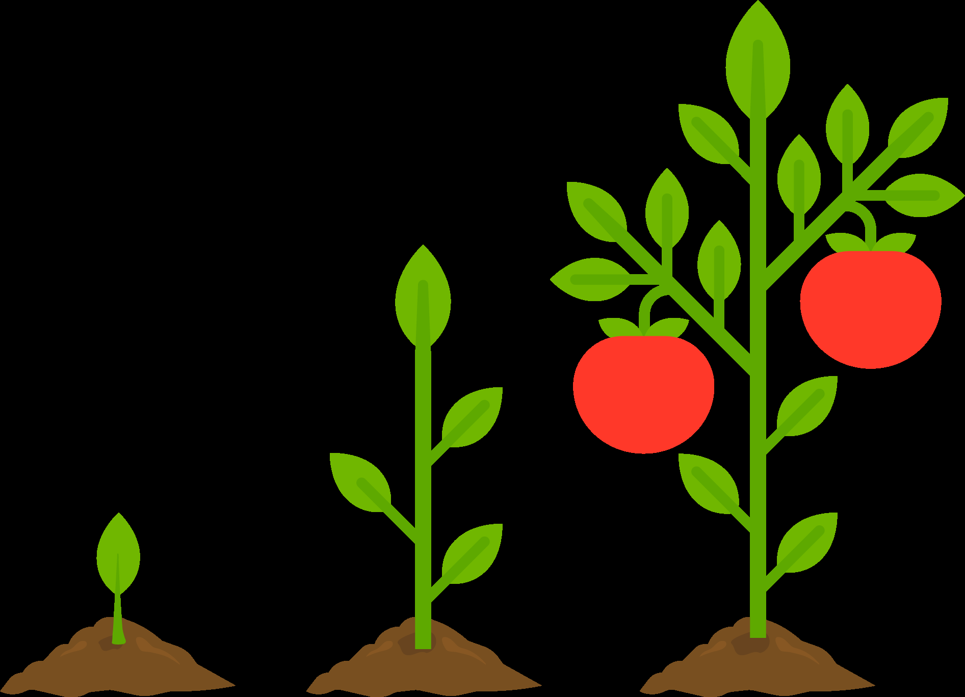 Cheap Easy Handmade Planters