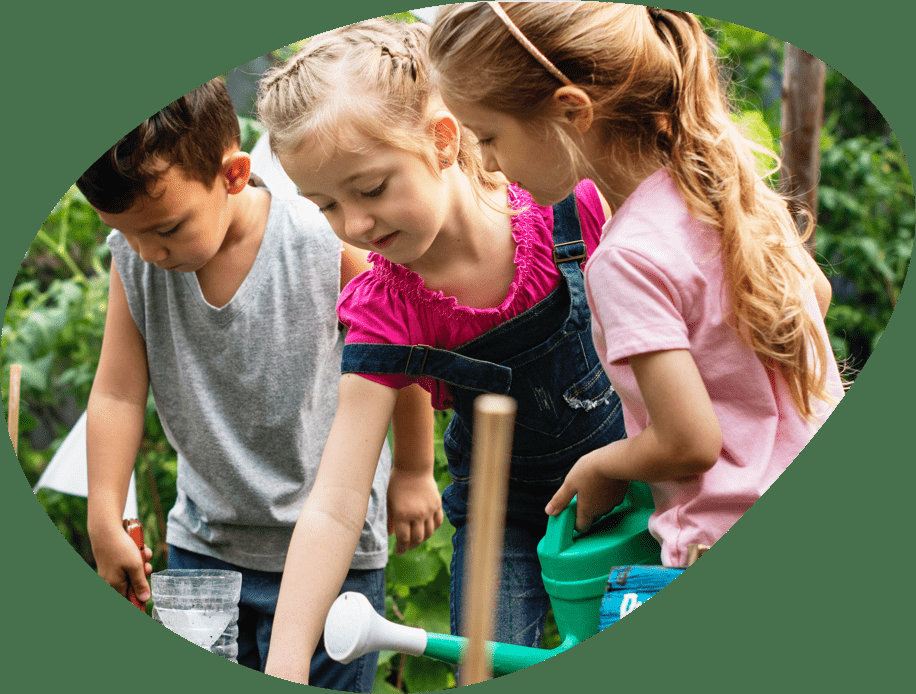 Backyard Patio Ideas