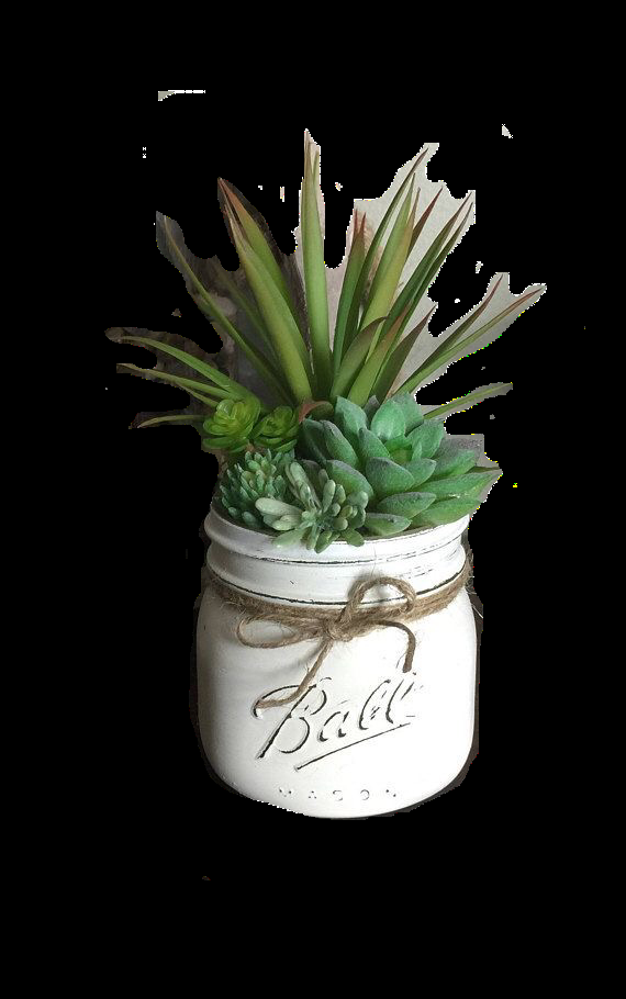 Potted Plant Png Pictures Download Number