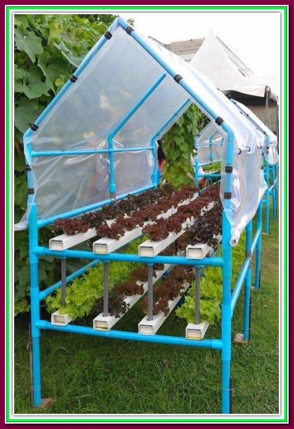 Diy Aquaponics System