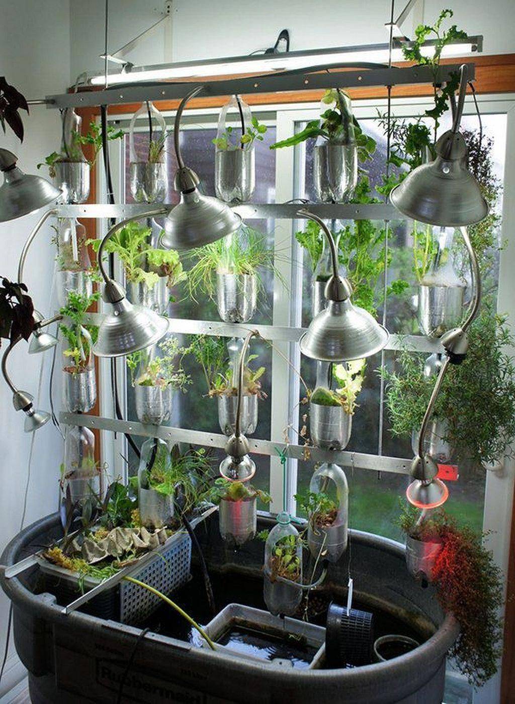 Aquaponic Jar Herb Garden