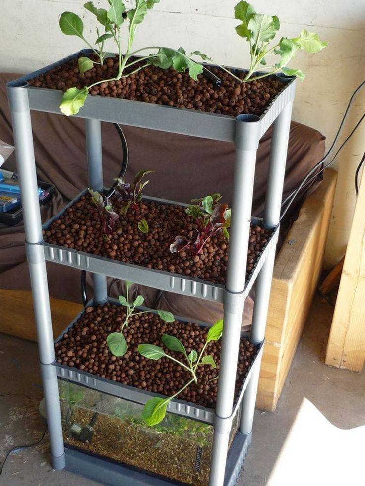 Aquaponics Backyard Garden Free Aquaponics Tips