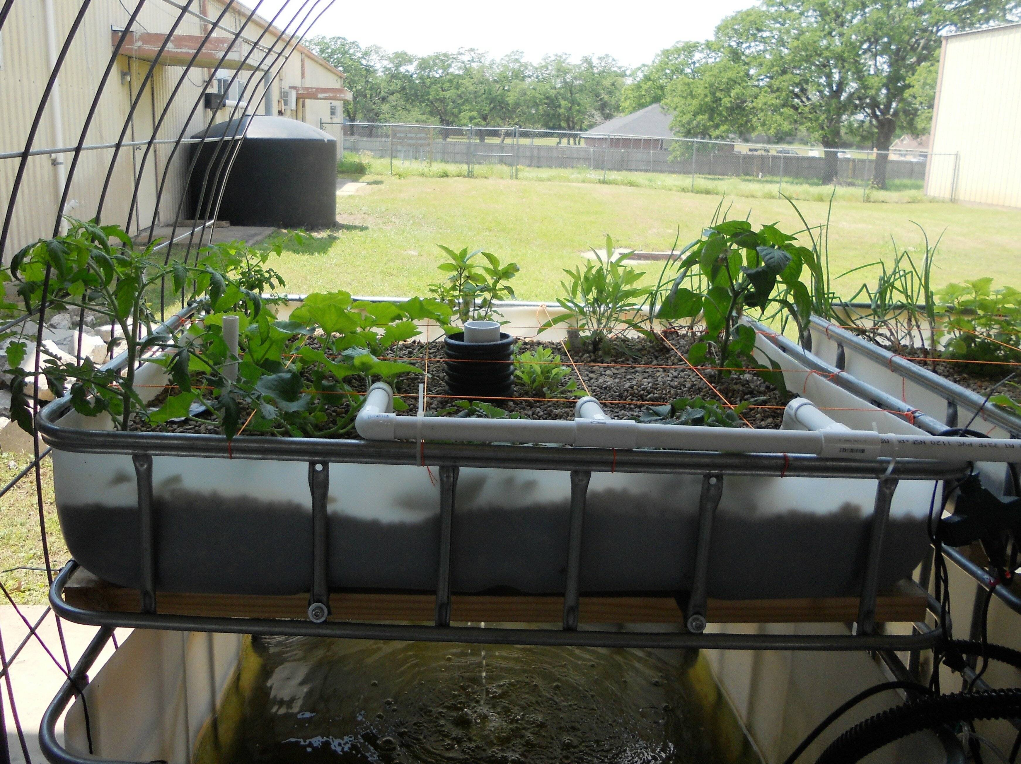 Aquarium Hydroponic Gardening