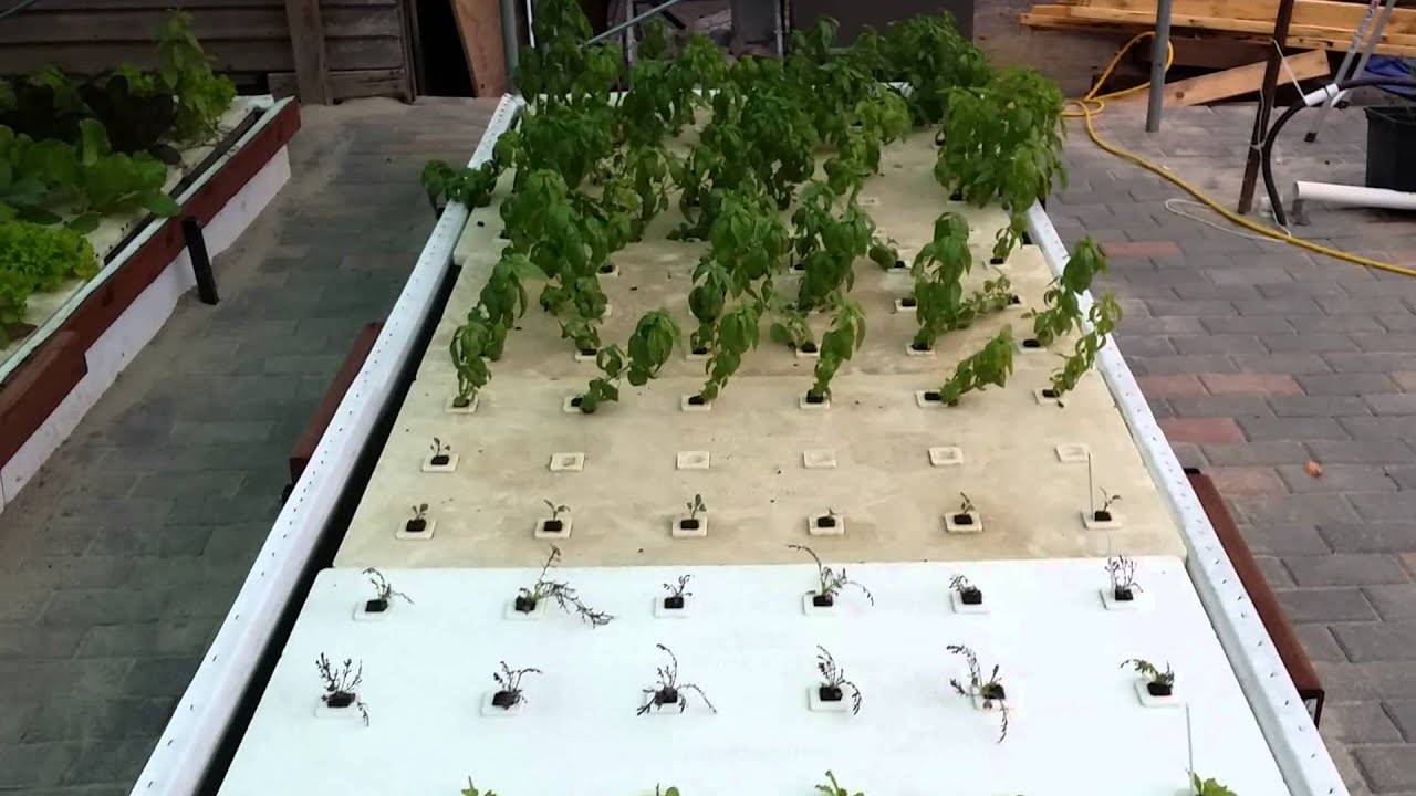 Best Hydroponic Garden Ideas