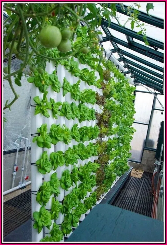 Aquaponic Design Aquaponics System