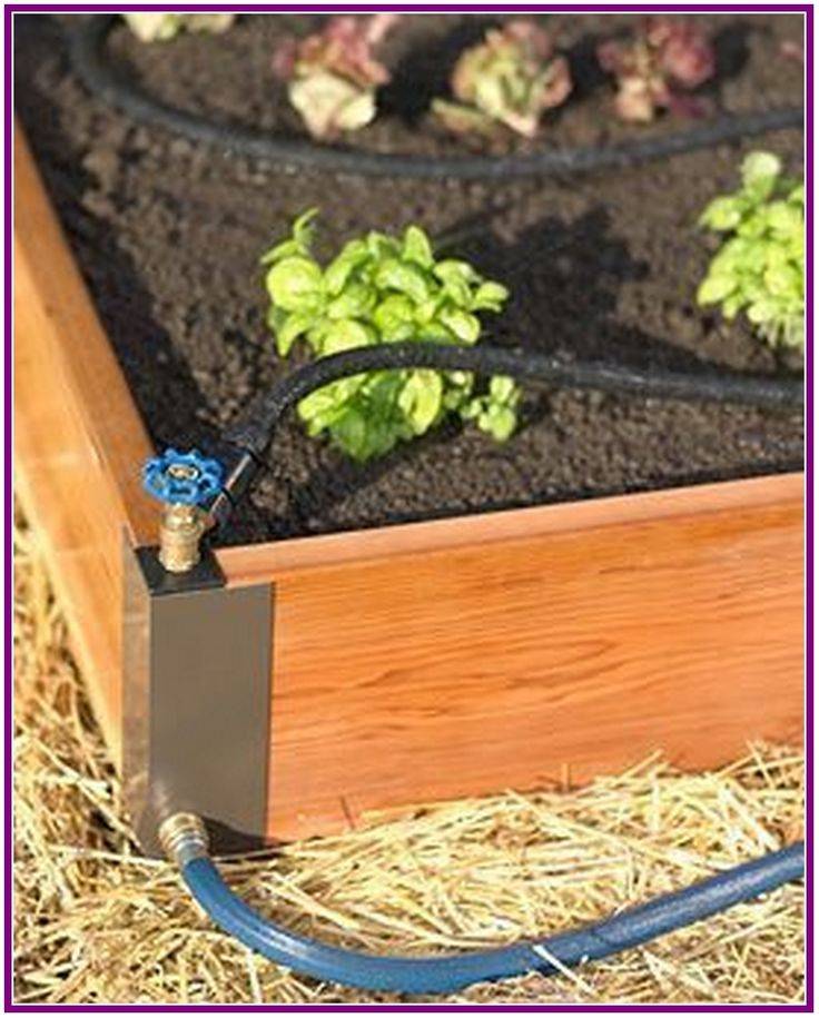 Best Cedar Raised Garden Bed Ideas You Can Diy