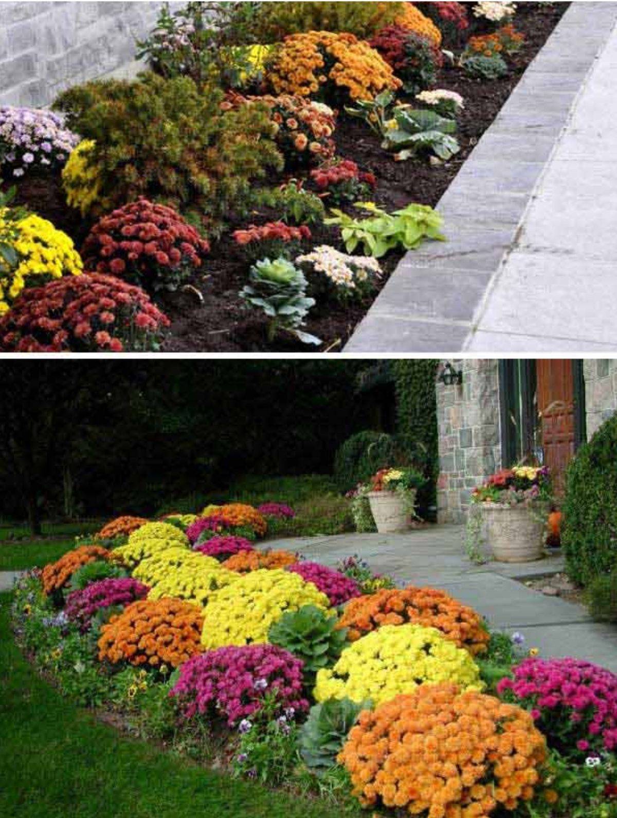 Beauty Colorful Outdoor Planter Ideas