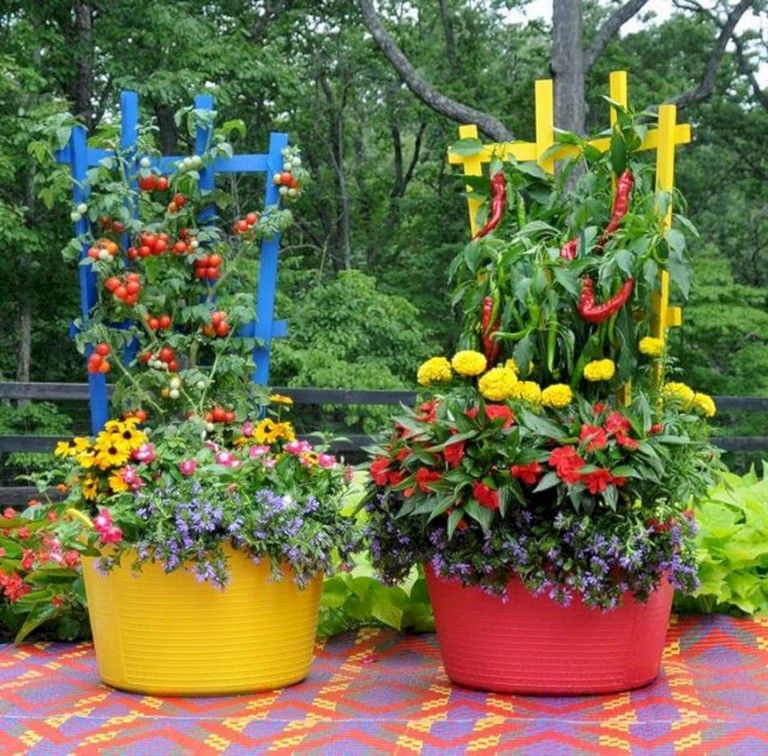 Springseasoncontainergardenideas