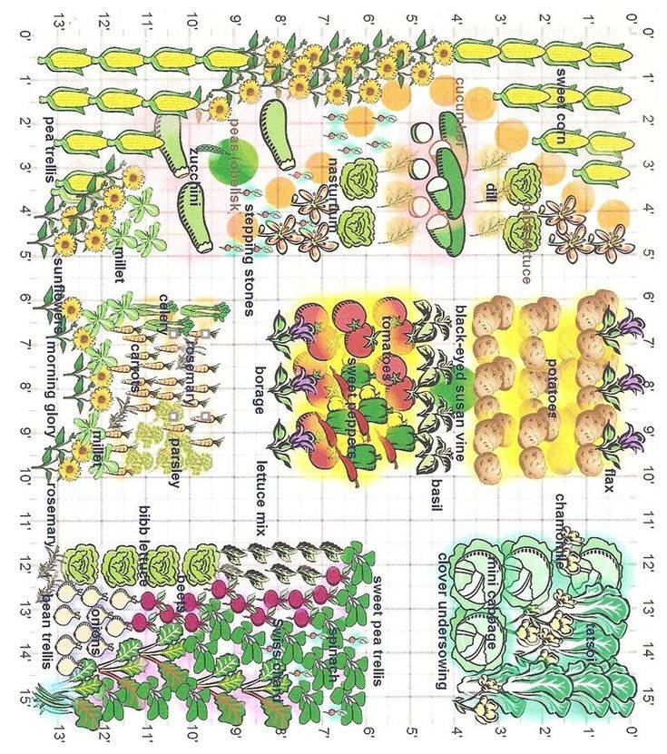 Companion Planting Chart