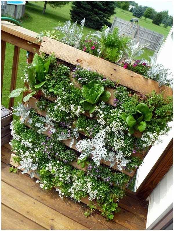 Diy Vertical Herb Garden