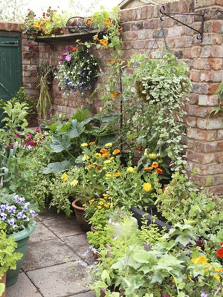 Stunning Container Garden Planting Designs