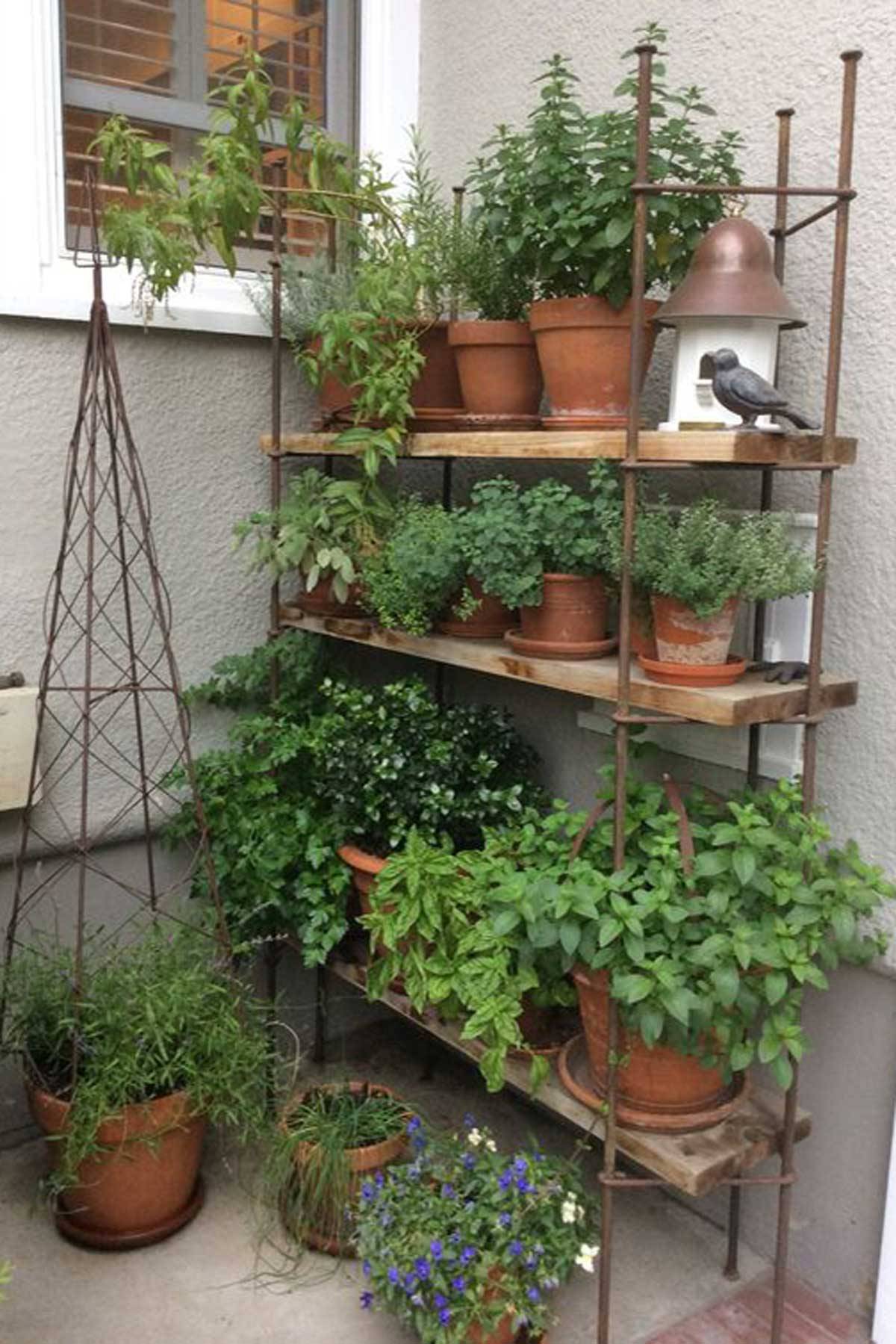 Quick And Easy Herb Garden Ideas Storables