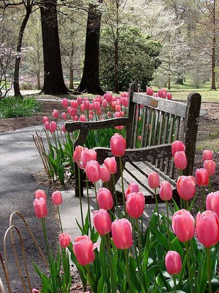 Inspiring Tulip Garden Ideas Town Country Living