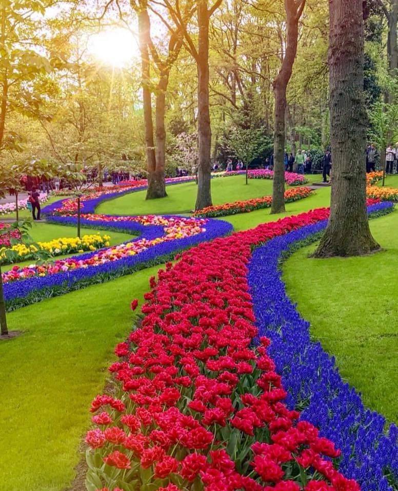 Spring Bulb Gardens