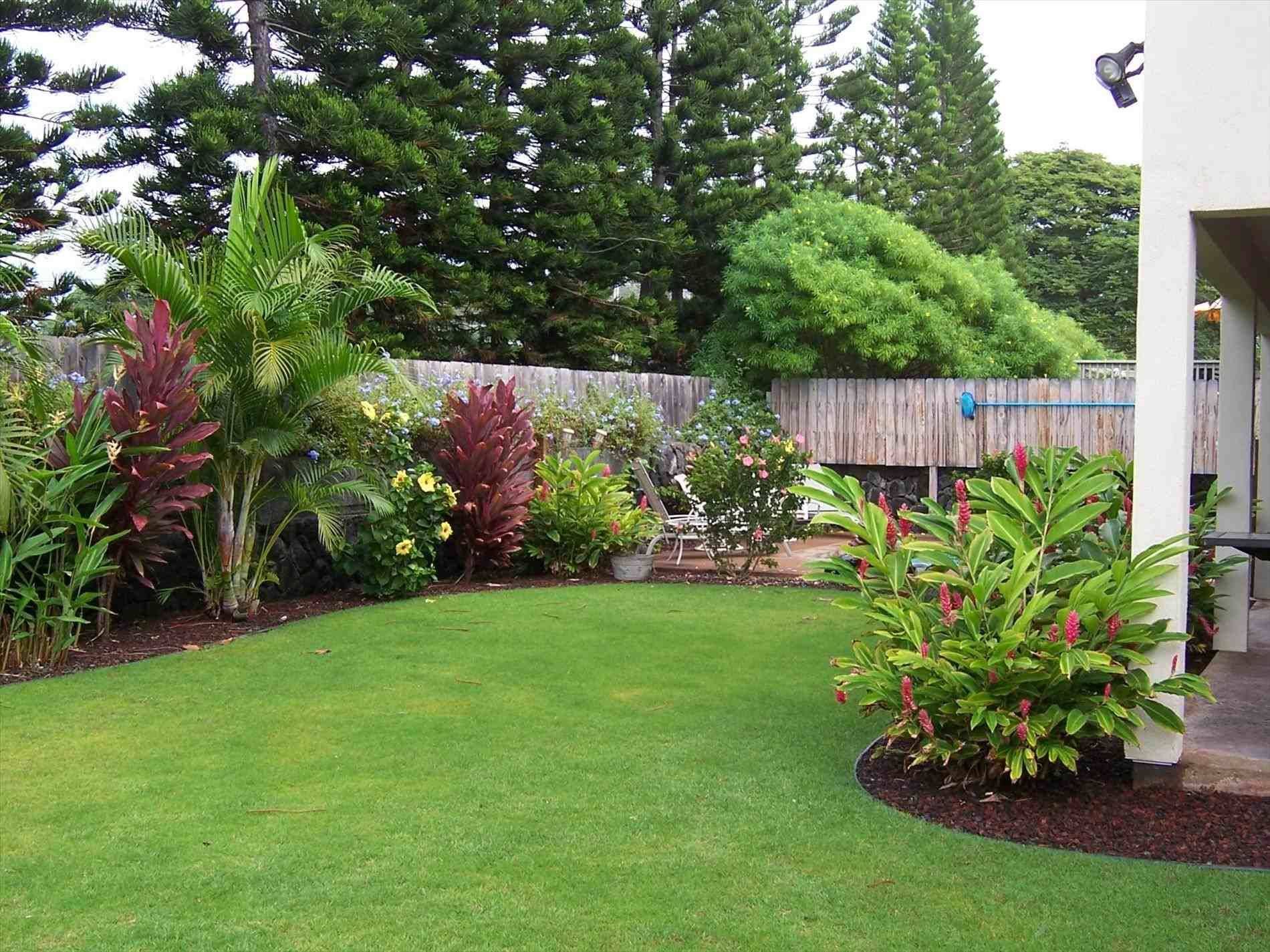 Small Backyard Ideas