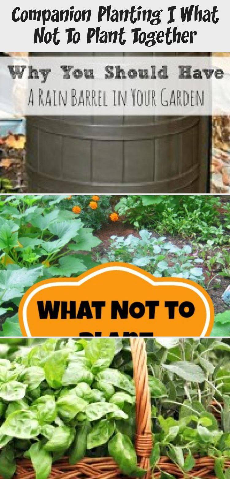 Quick And Easy Garden Hacks Homestead Survival Site