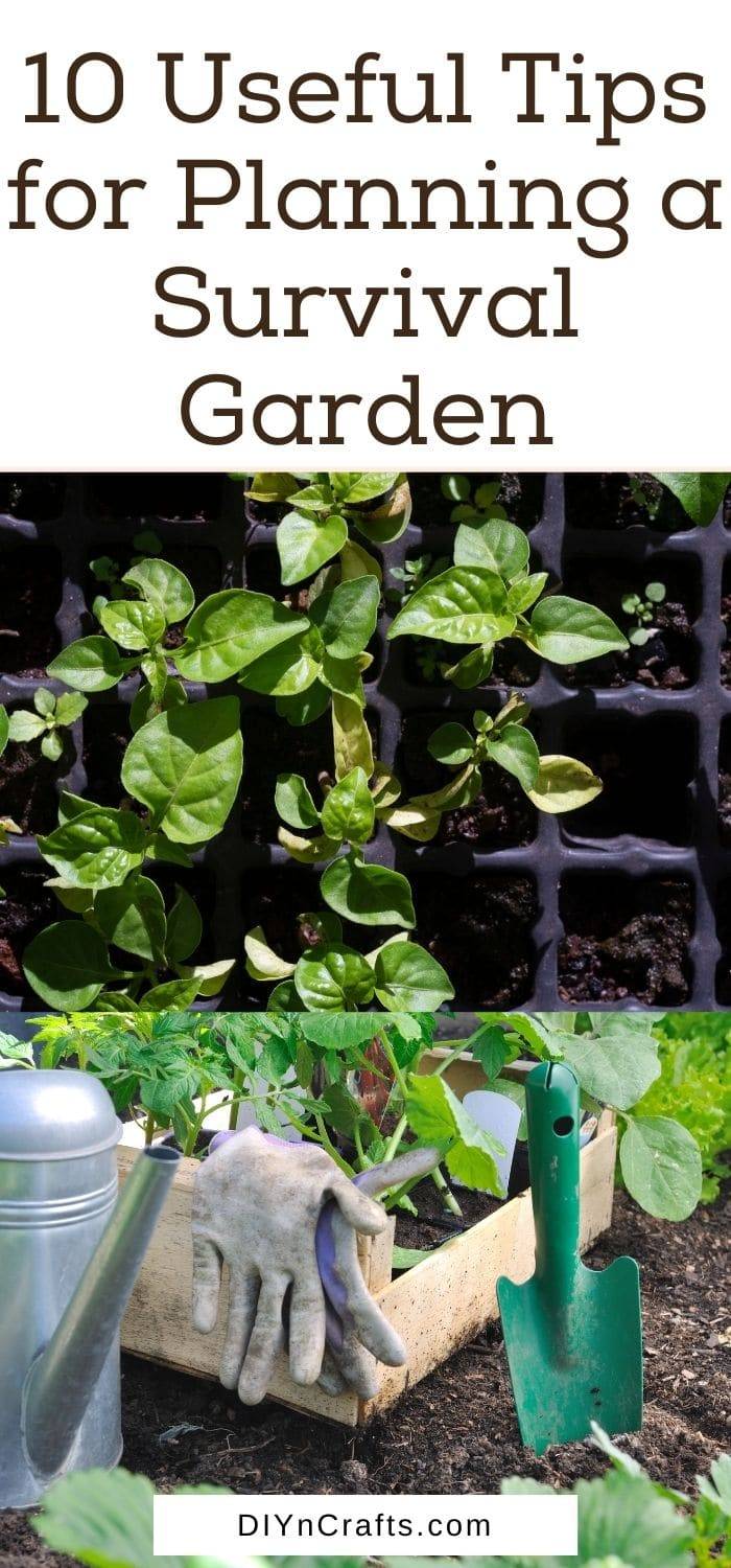Timesaving Gardening Tips Homestead Survival Site Gardening Tips