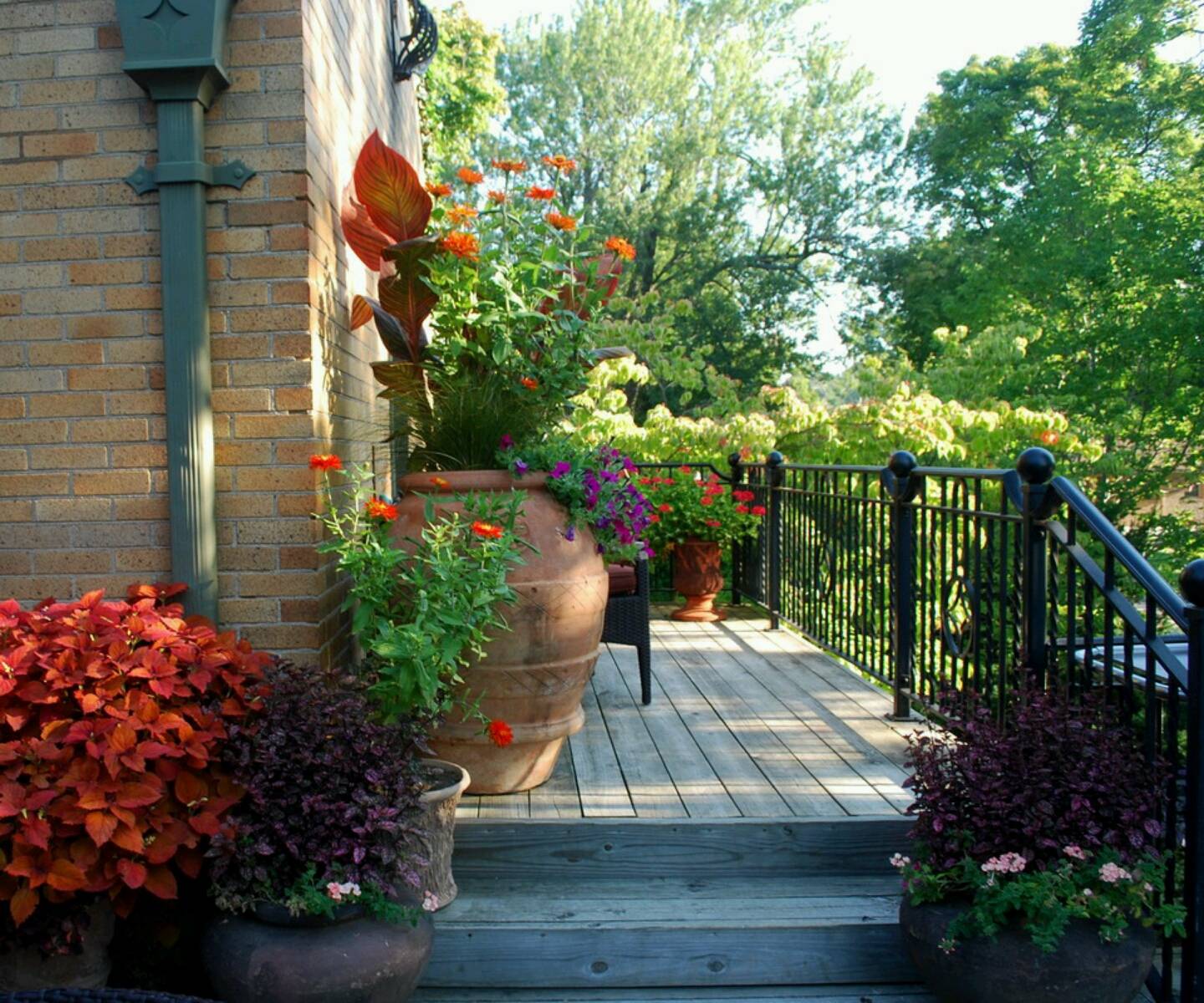 Beautiful Garden Designs Ideas