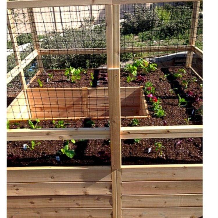 Deer Proof Raised Bed Garden Kit Infinite Cedar Vegetable Garden