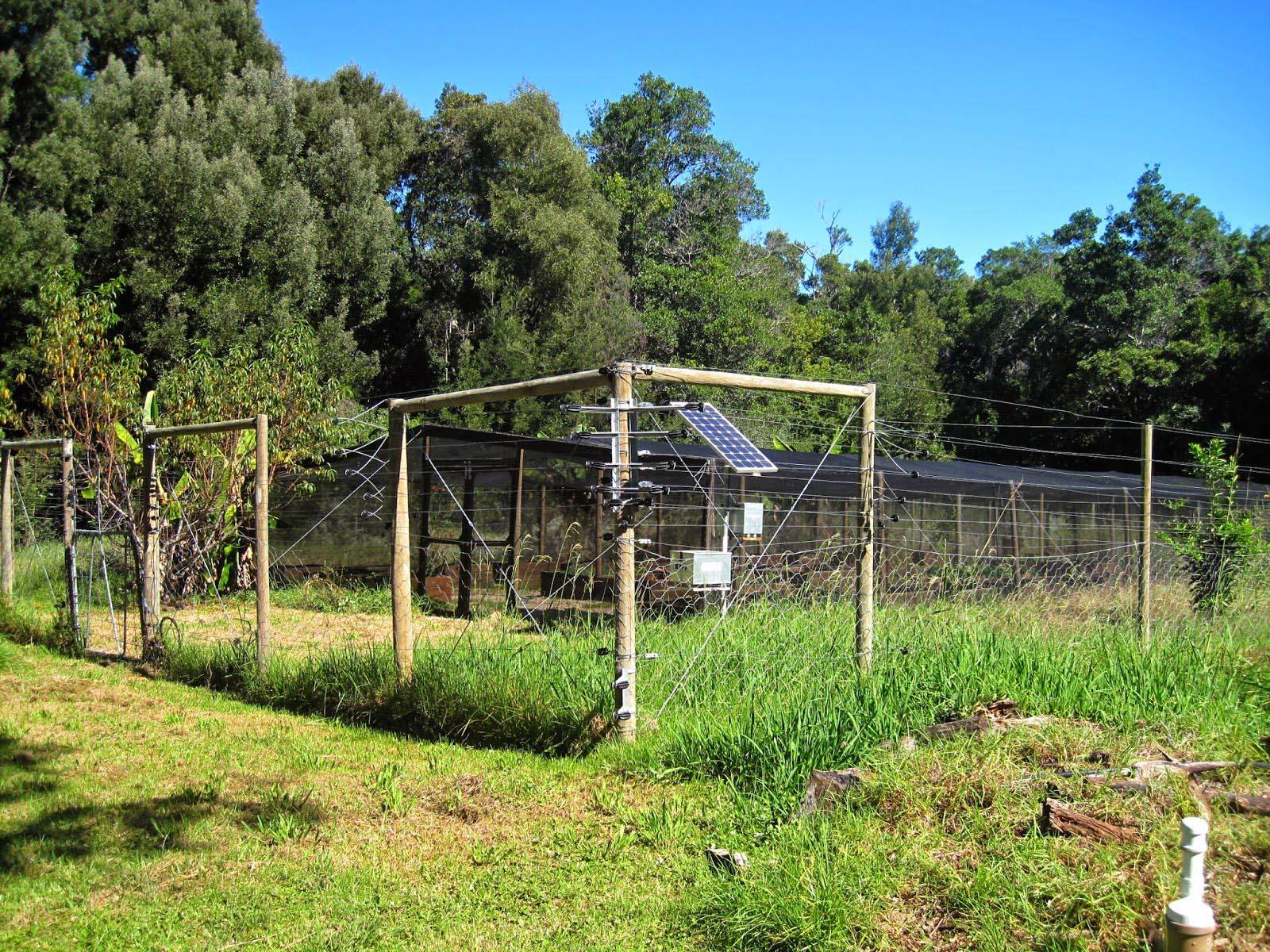 Gorgeous Easy And Cheap Privacy Fence Design Ideas Source Link