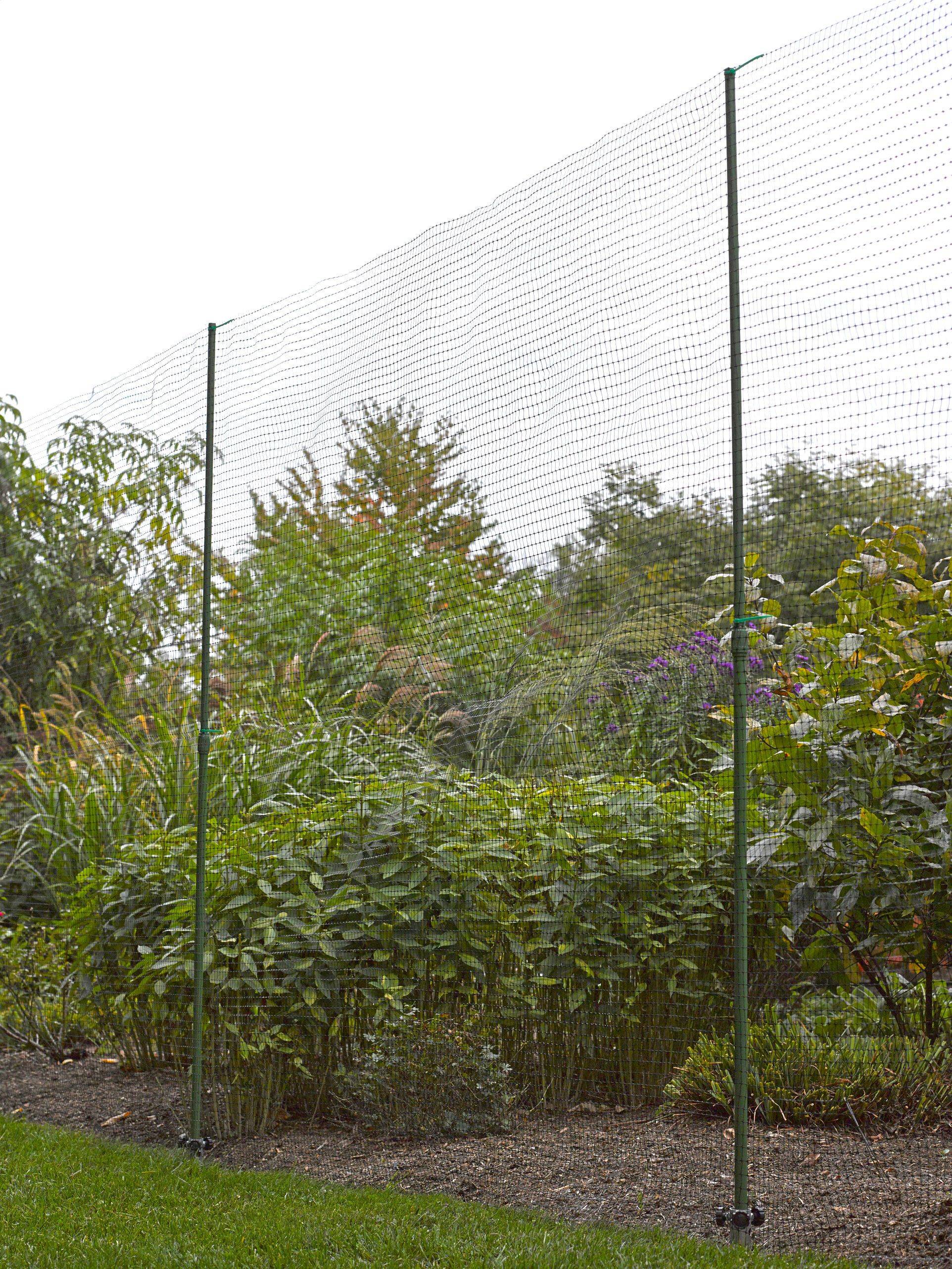 A Diy Vegetable Garden Fence