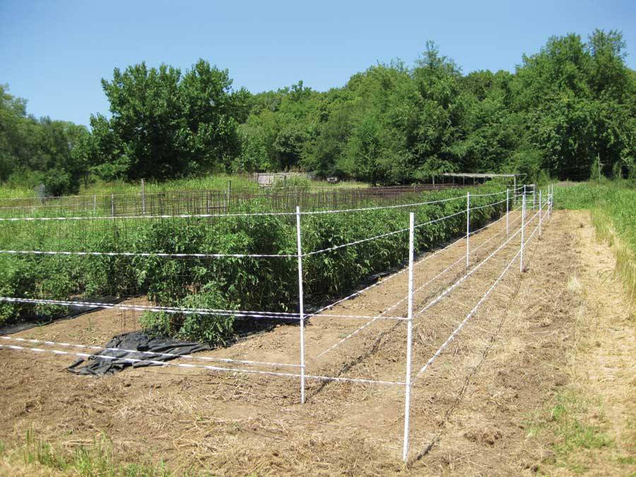 Garden Fence Kits