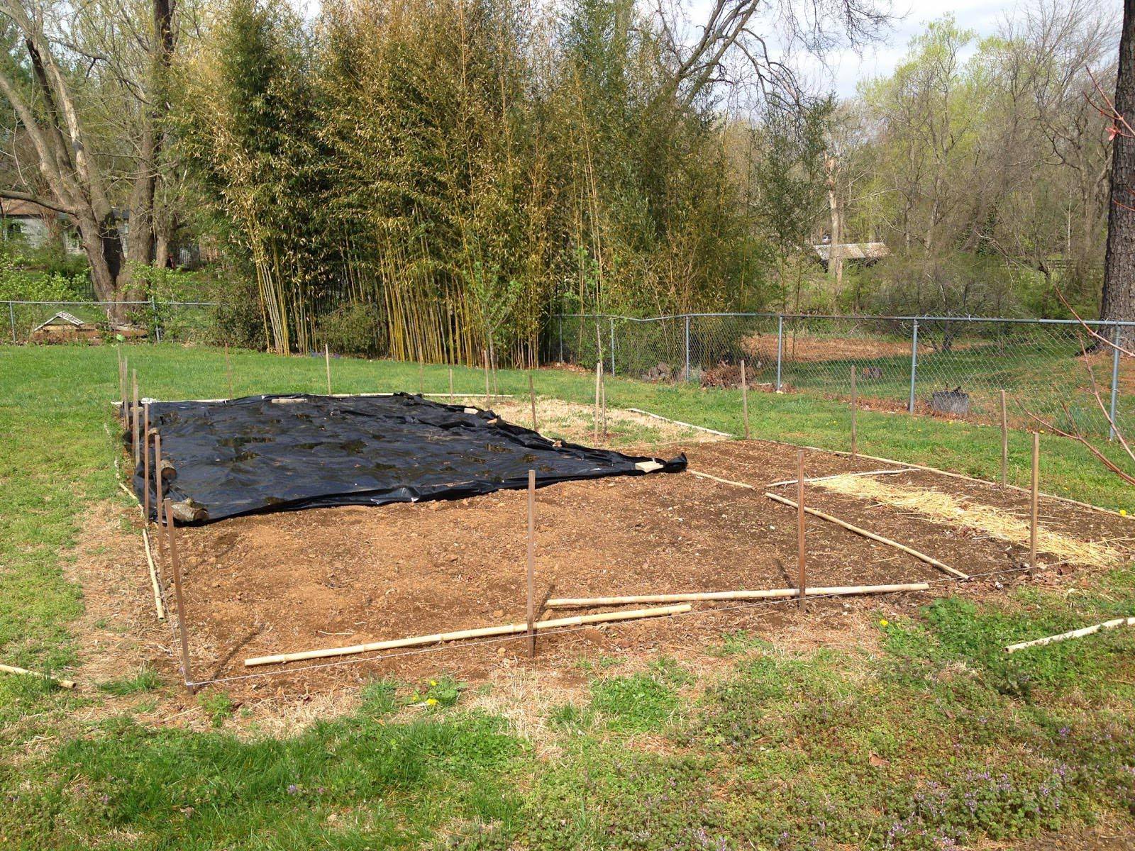 Outdoor Living Today Square Raised Garden