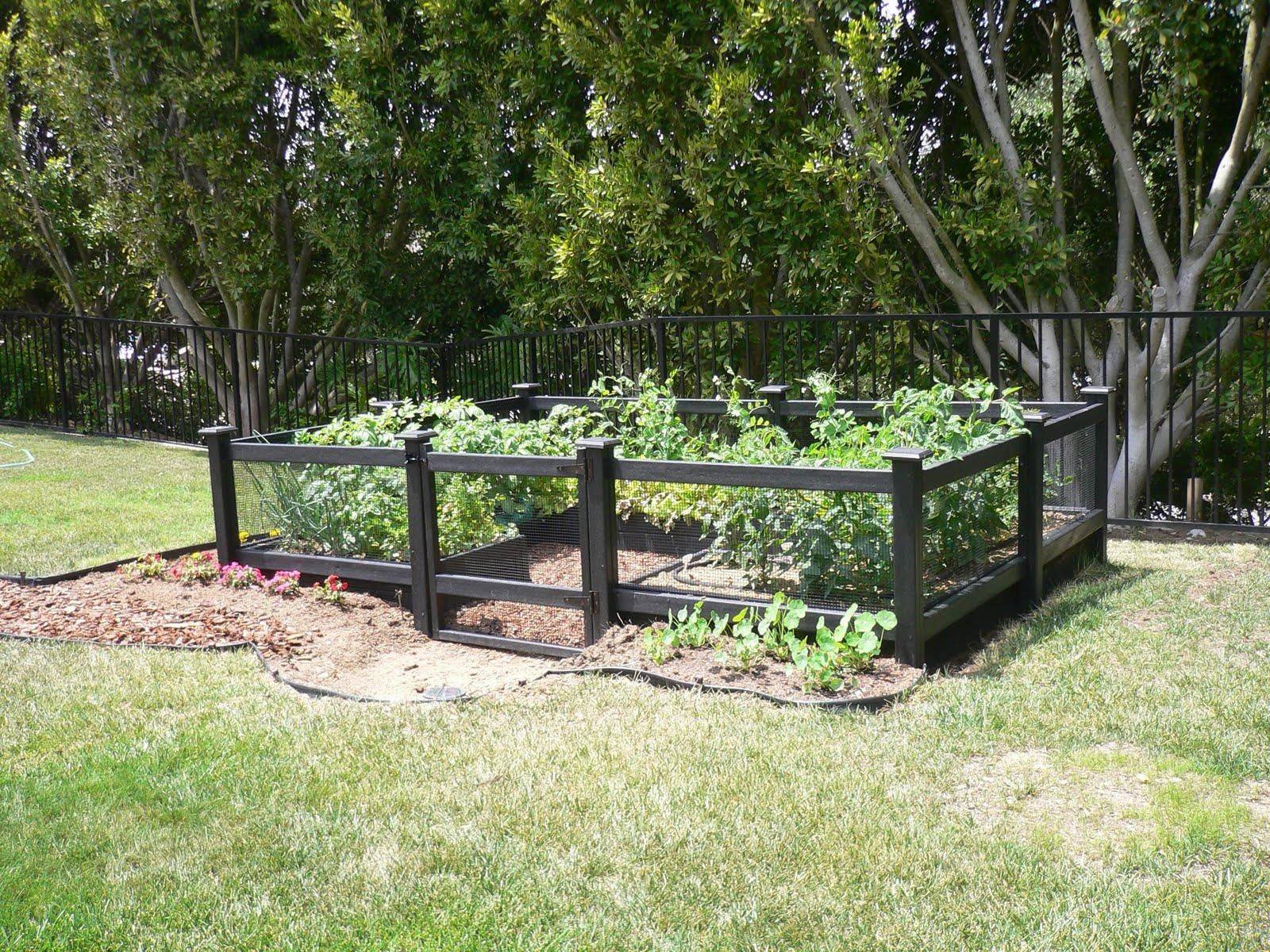 Square Raised Garden
