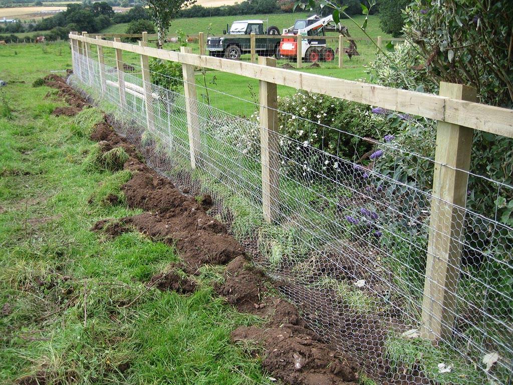 Vegetable Garden Fence Kit
