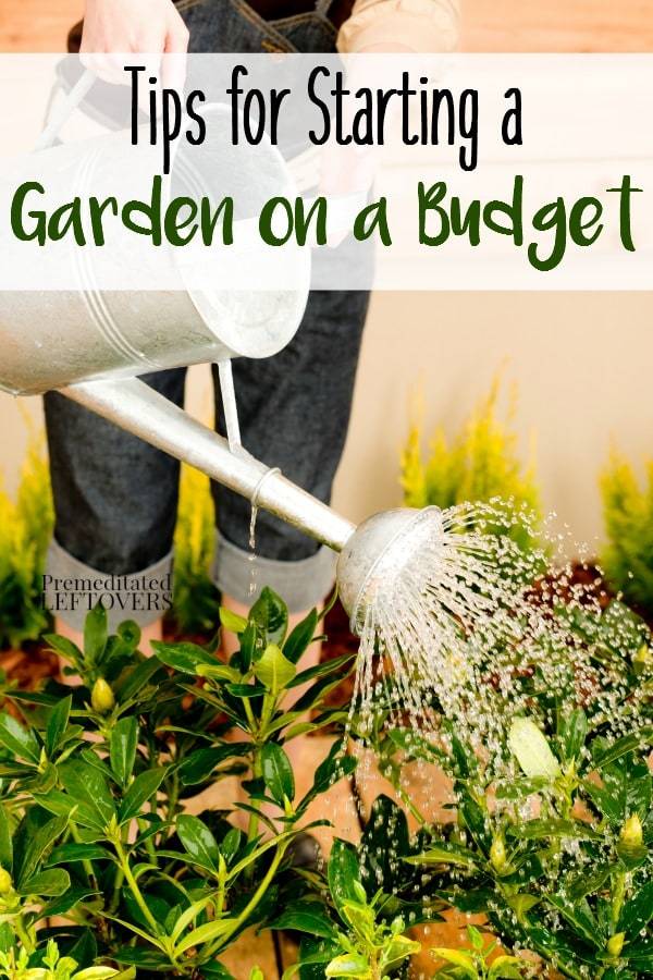 Frugal Gardeners Gardening Viral