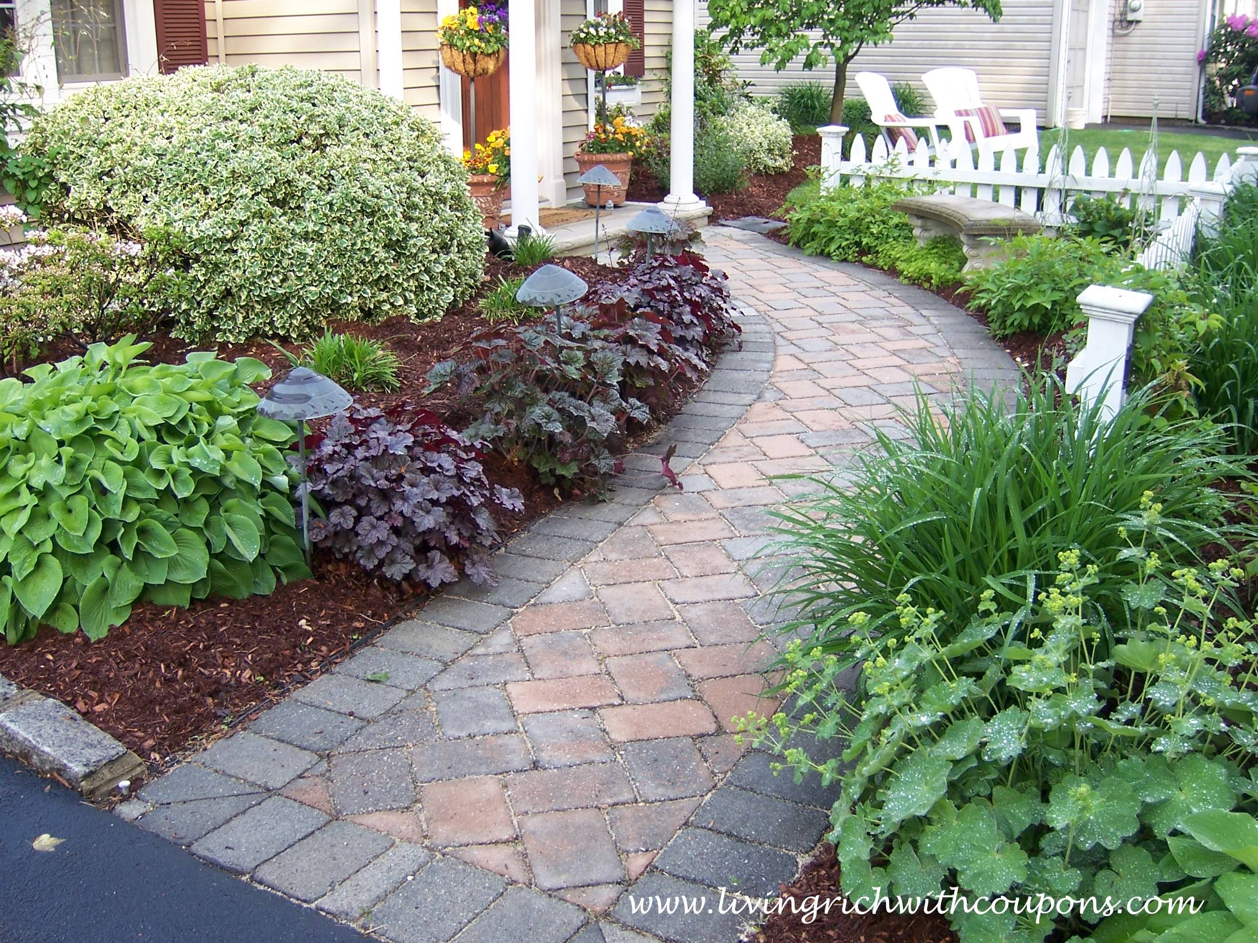 Simple Gardening Tips