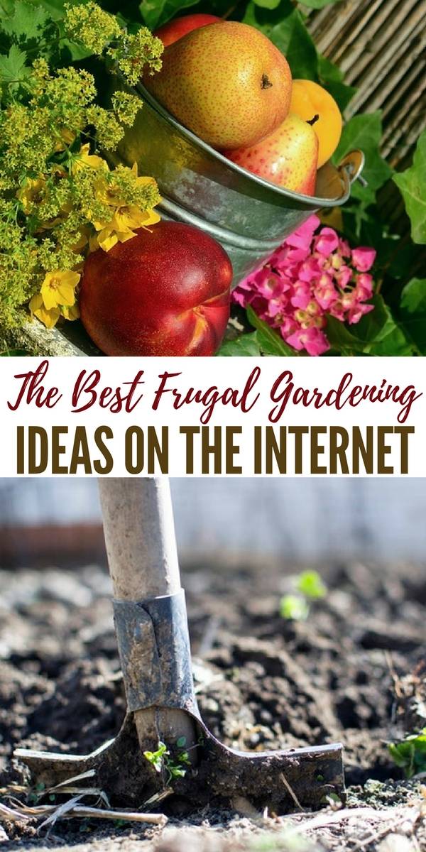 Four Inexpensive Raised Bed Ideas
