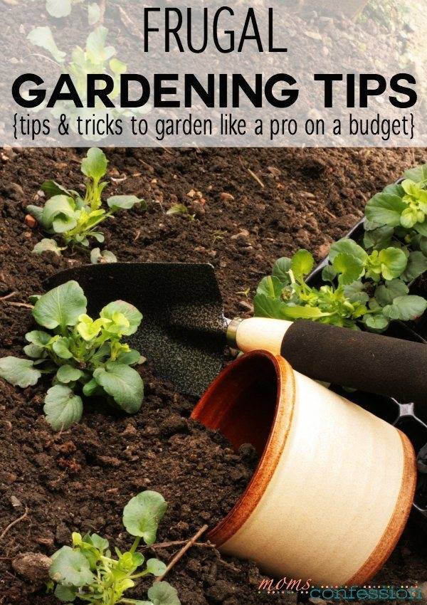 Frugal Gardening Ideas Crafty Kids