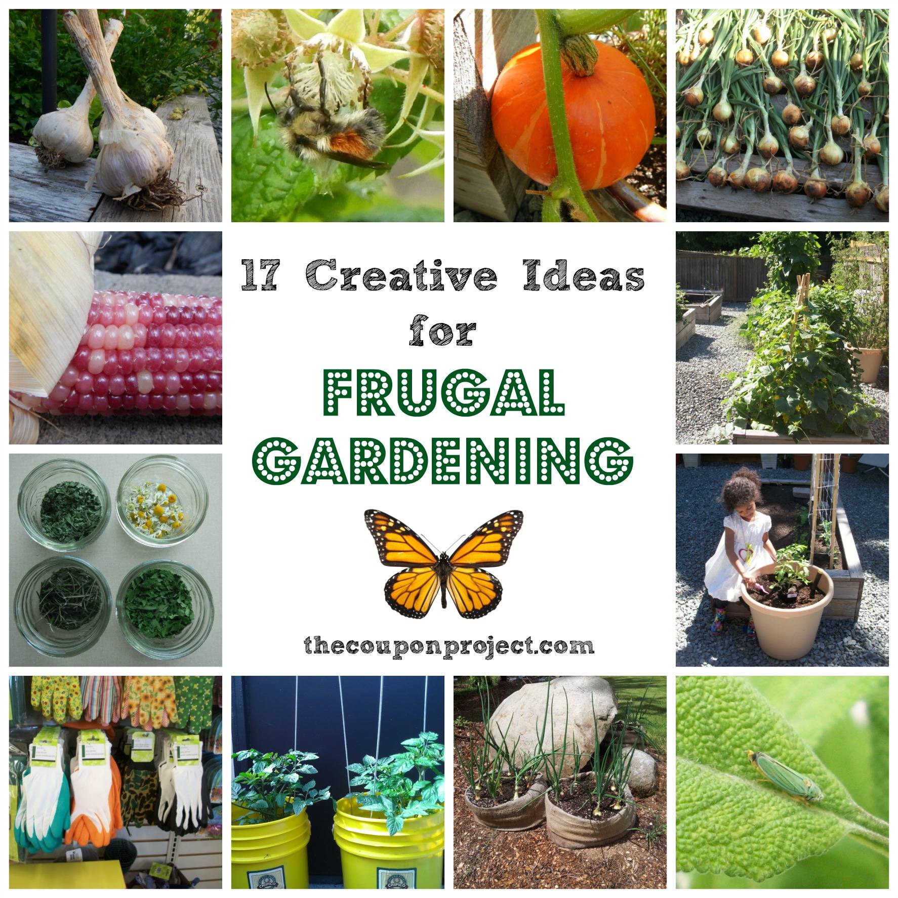 Frugal Gardening Tips