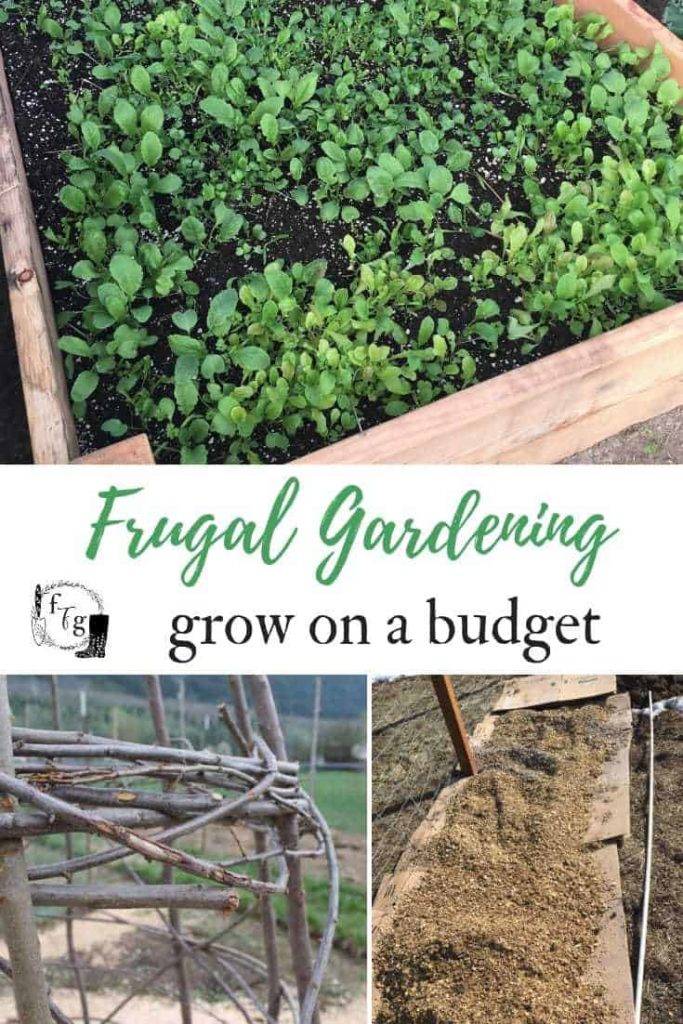 Frugal Gardening Tips