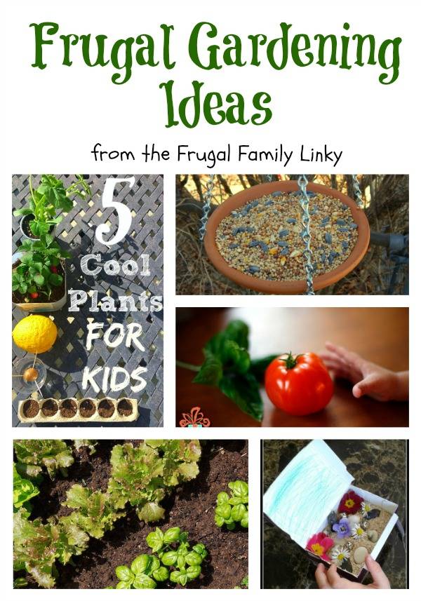 Frugal Gardening Tips