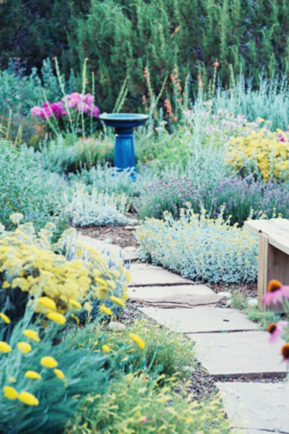 Frugal Gardening Tips