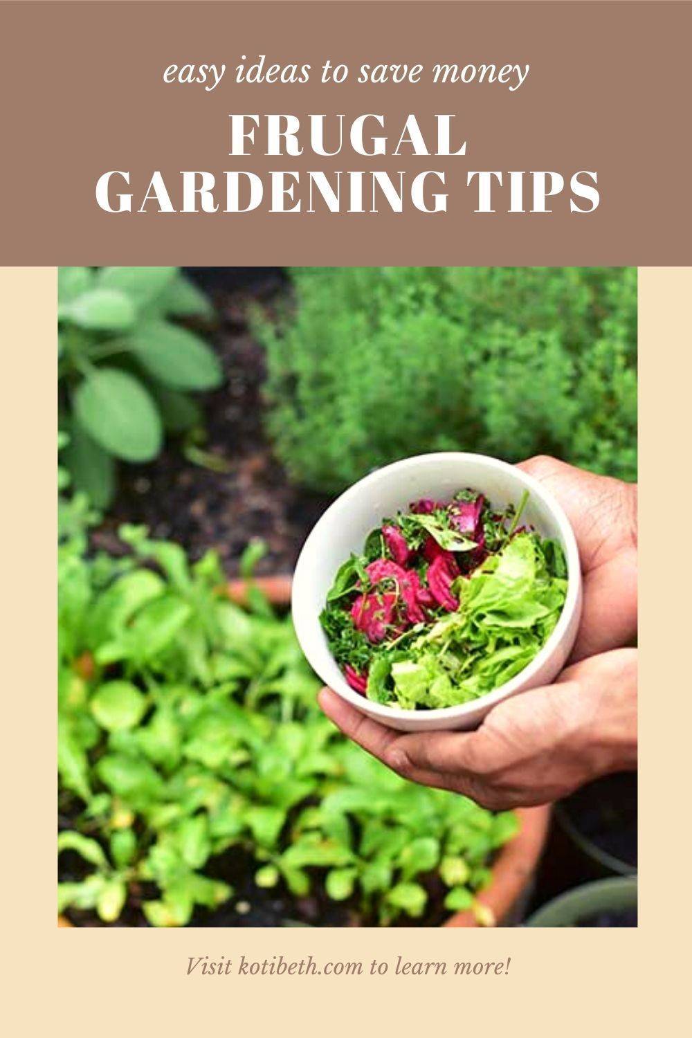 Garden Ideas Frugal Living