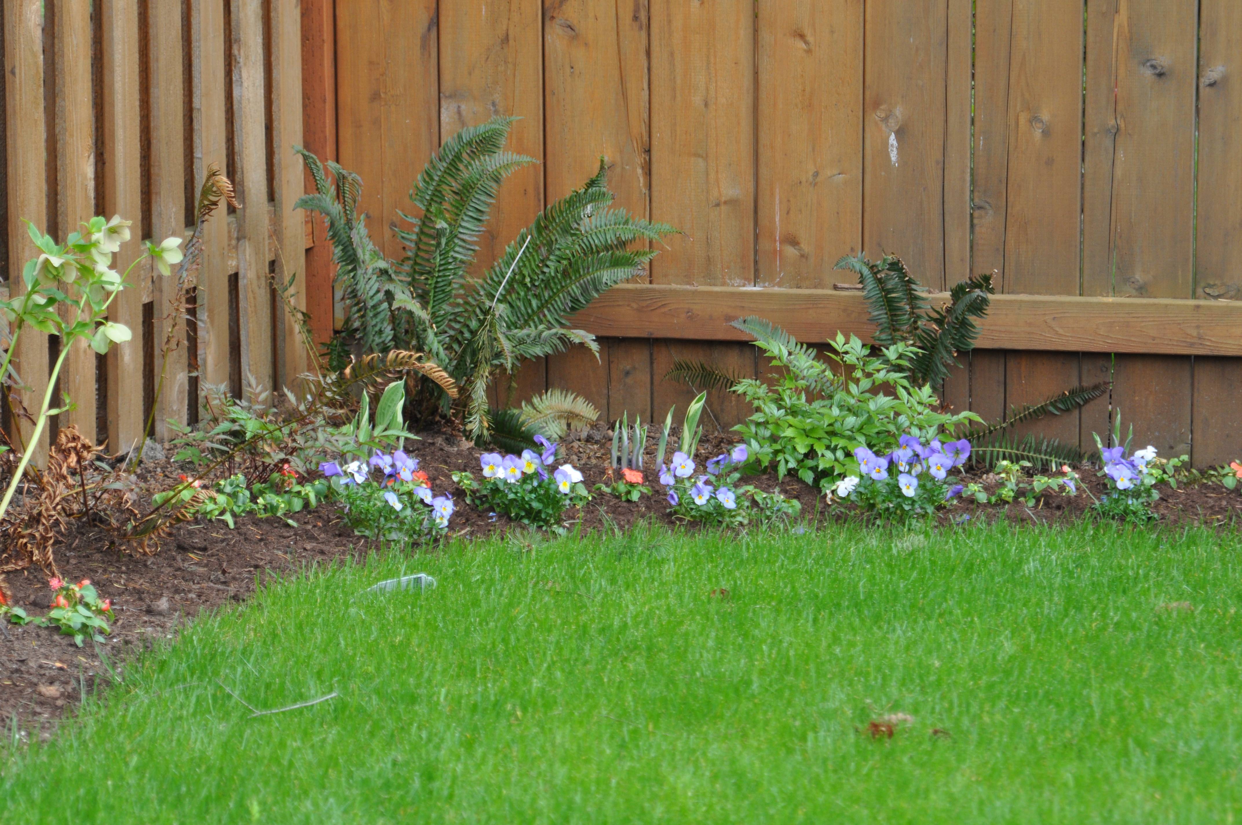 Your Frugal Garden Makeover