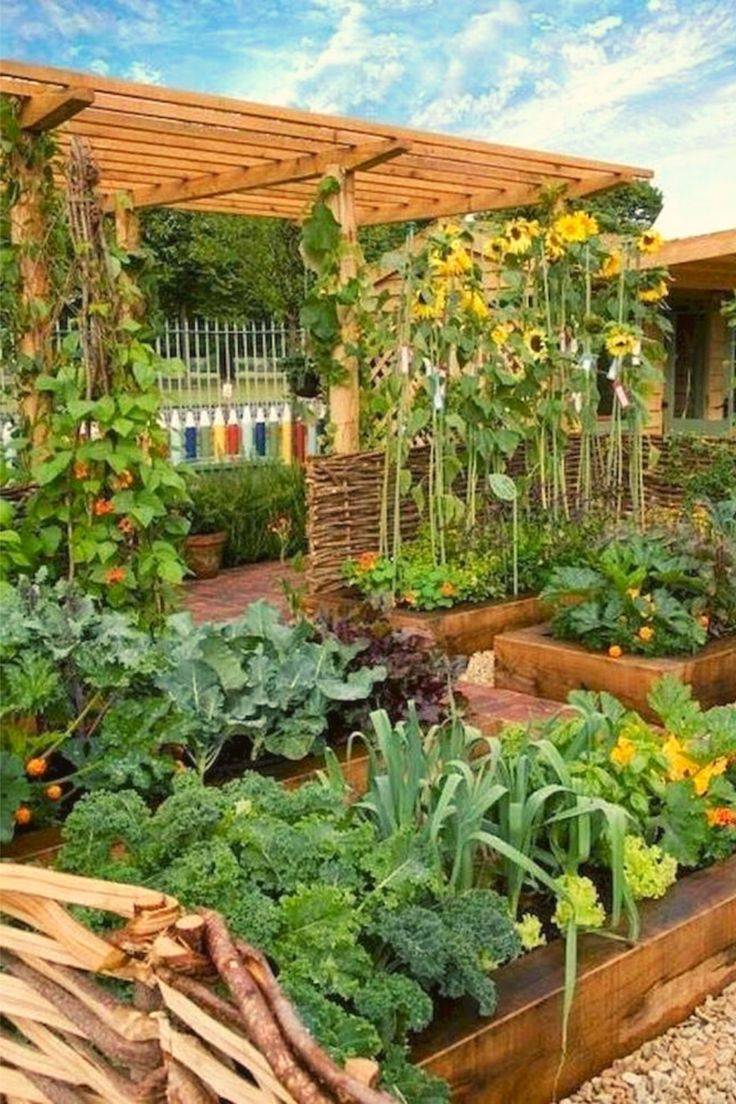 The Best Frugal Gardening Ideas