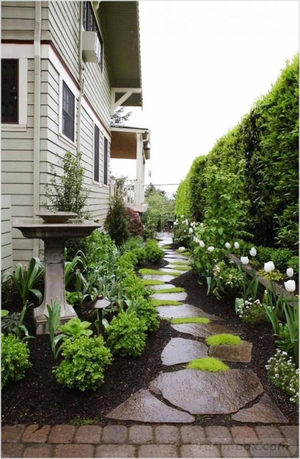 Vegetable Garden Trellis Ideas