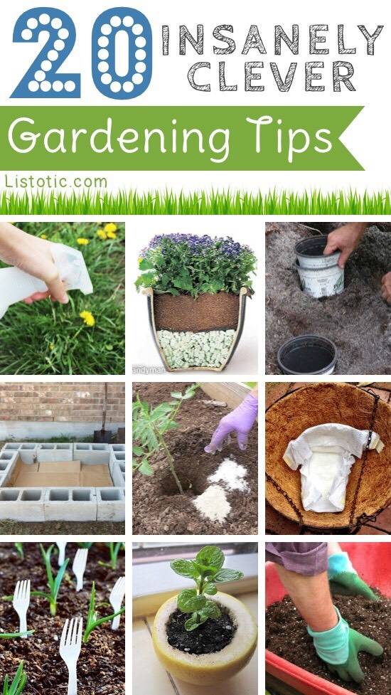 Clever Gardening Tips