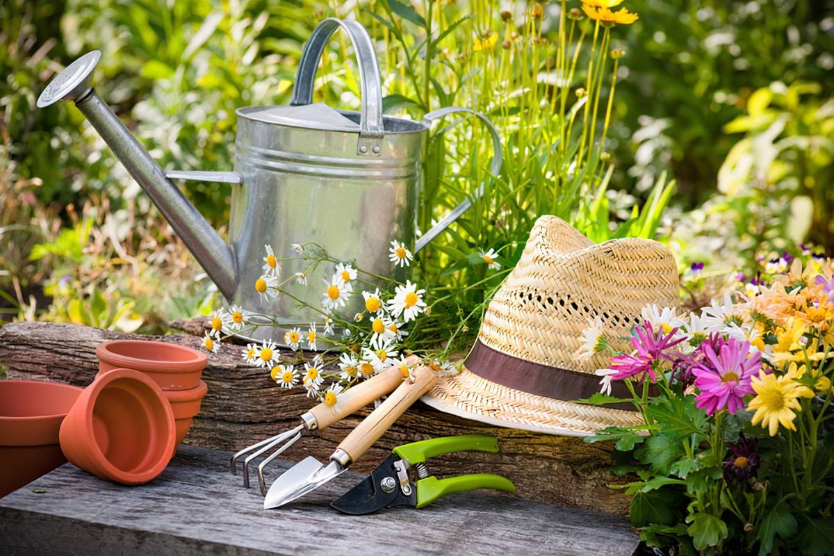Frugal Gardening Tricks