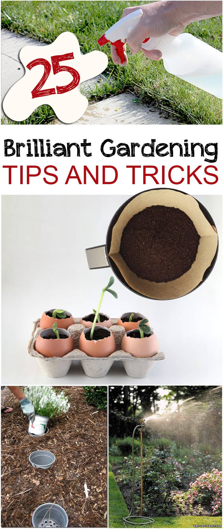 Your Garden